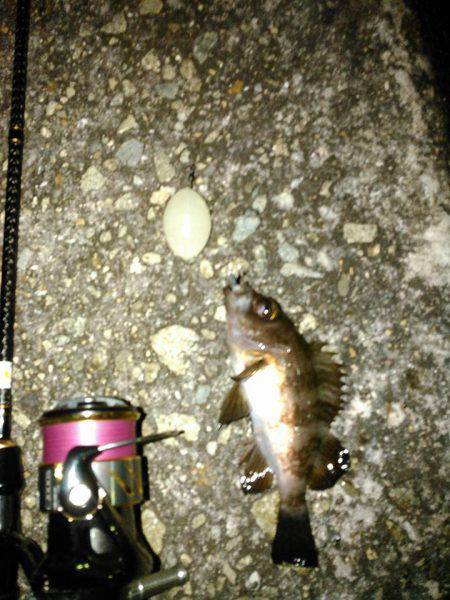 Ｆシステムってなぁーんだの巻